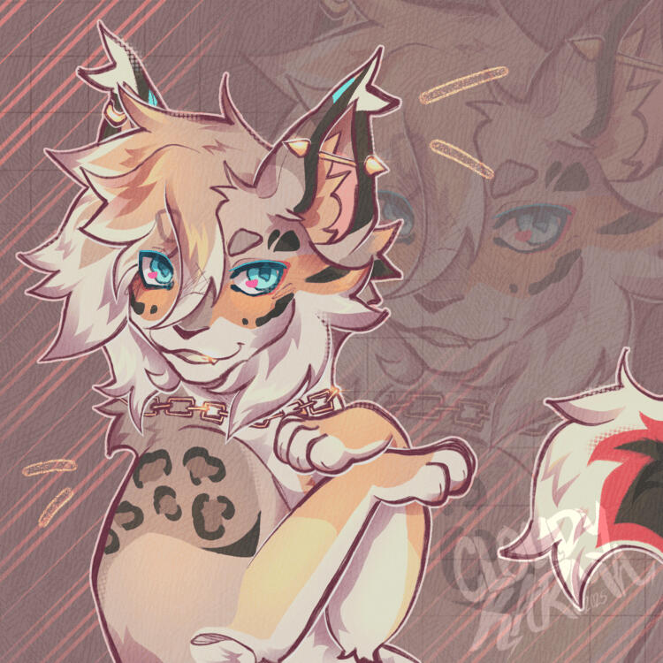 Shaded Half Shaded Half